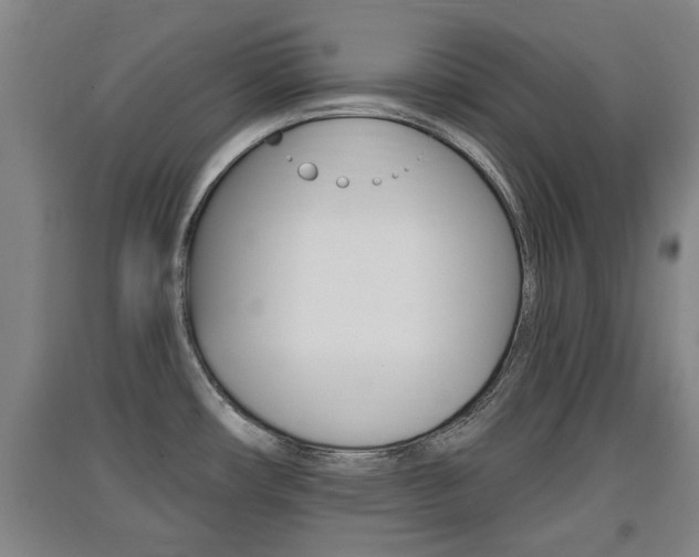 X0000091511482200708170939