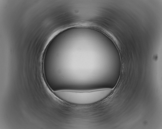 X0000091511483200708170939