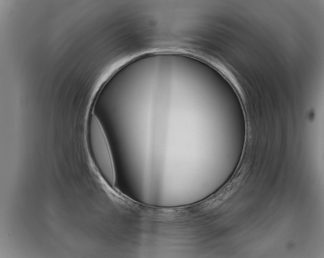 X0000091511485200708170939