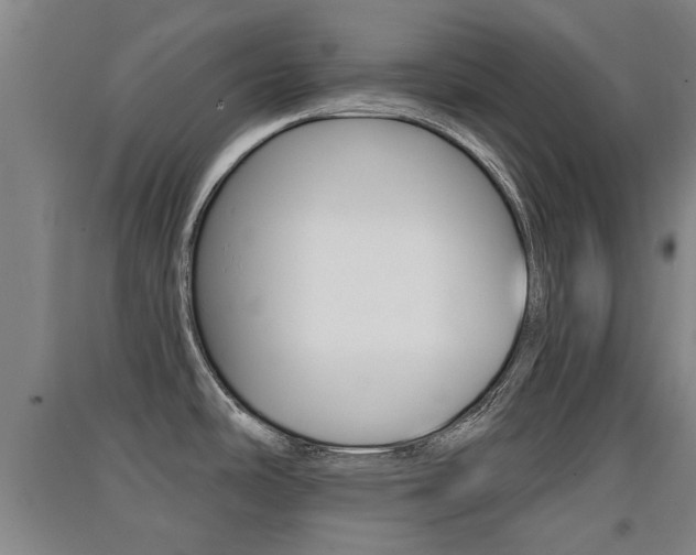 X0000091511486200708170939