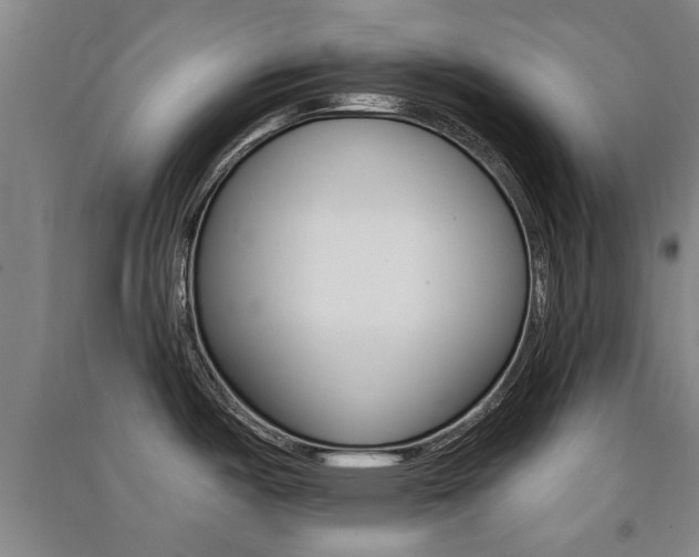 X0000091511487200708170939