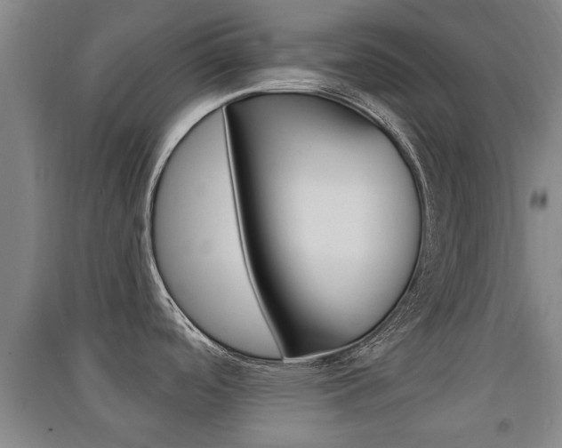 X0000091511488200708170939
