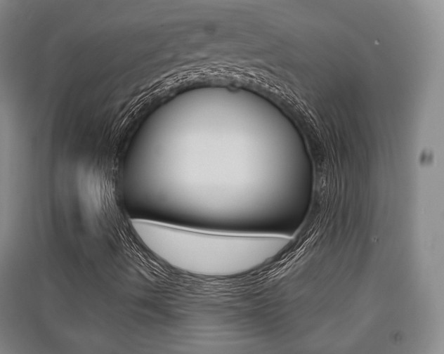 X0000091511490200708170939