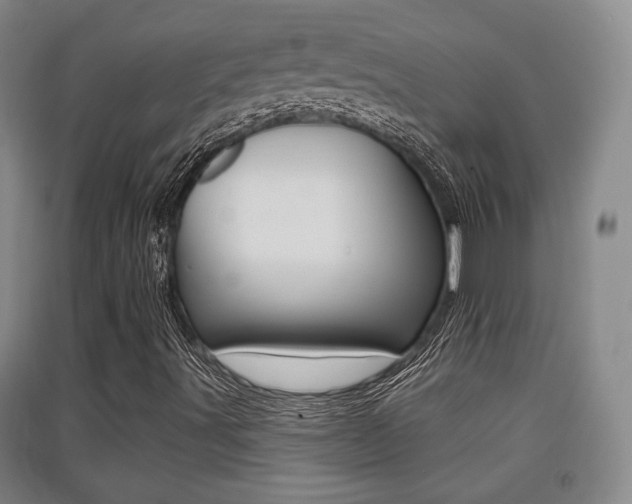 X0000091511491200708170939