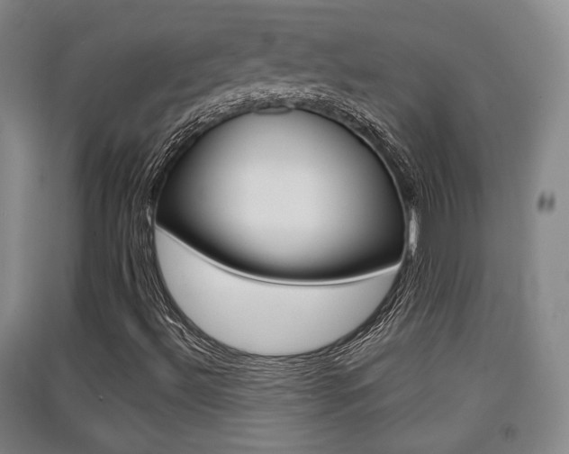 X0000091511492200708170939