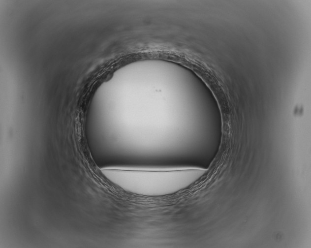 X0000091511493200708170939