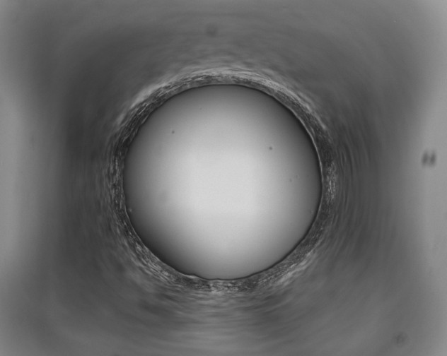 X0000091511494200708170939