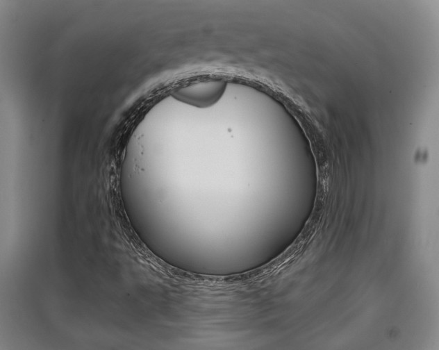 X0000091511495200708170939