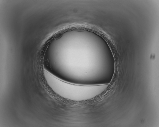 X0000091511496200708170939