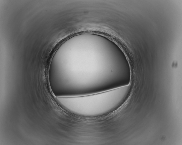 X0000091511497200708170939