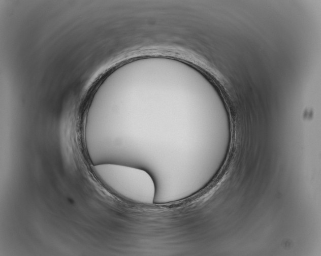X0000091511498200708170939