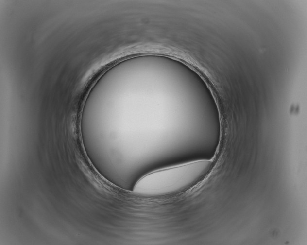 X0000091511499200708170939