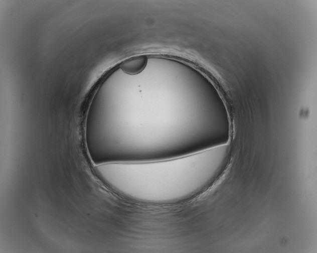X0000091511501200708170939