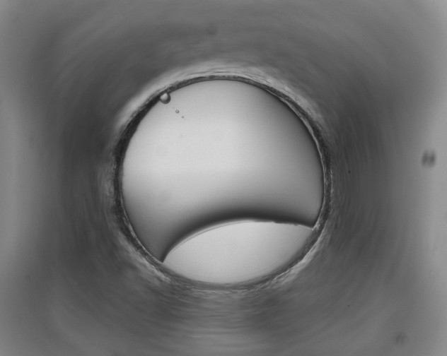 X0000091511502200708170939