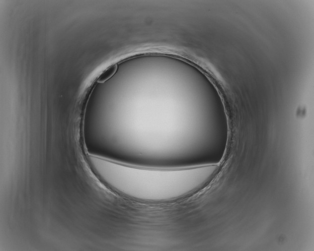 X0000091511504200708170939