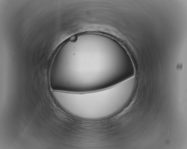 X0000091511505200708170939