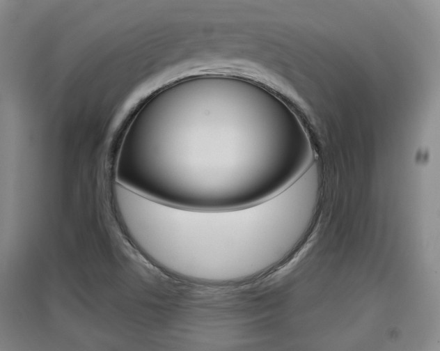 X0000091511506200708170939
