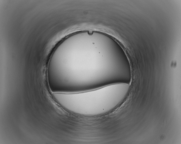 X0000091511507200708170939