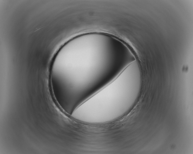 X0000091511508200708170939
