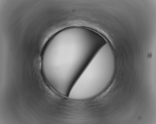 X0000091511509200708170939