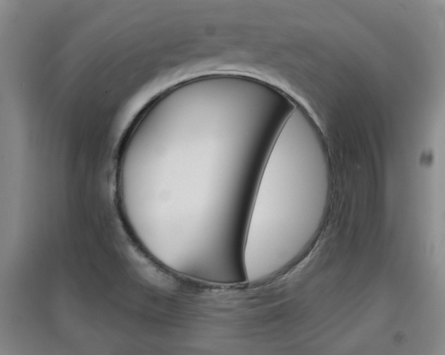X0000091511511200708170939