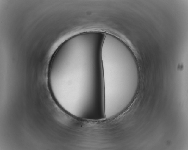 X0000091511512200708170939
