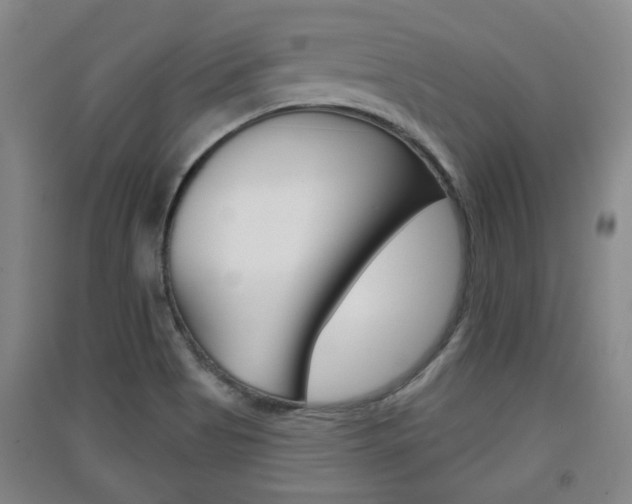 X0000091511513200708170939
