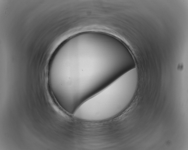 X0000091511515200708170939