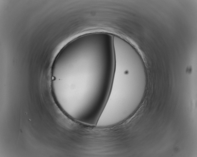 X0000091511516200708170939