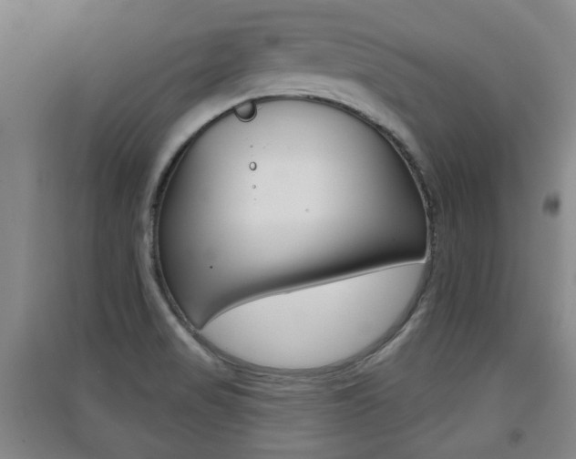 X0000091511517200708170939