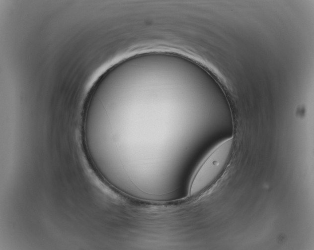 X0000091511518200708170939