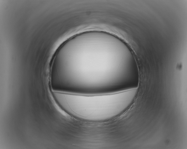 X0000091511519200708170939
