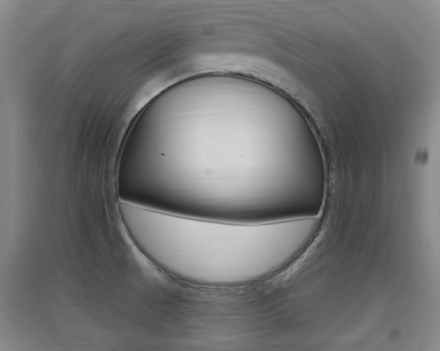 X0000091511521200708170939