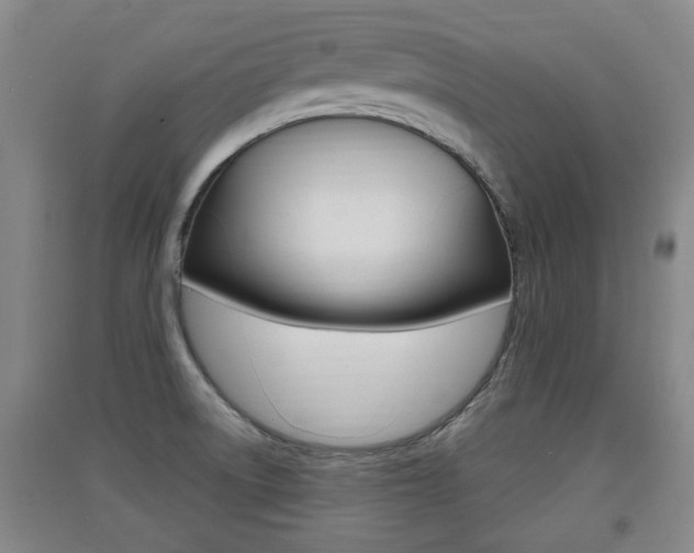 X0000091511522200708170939