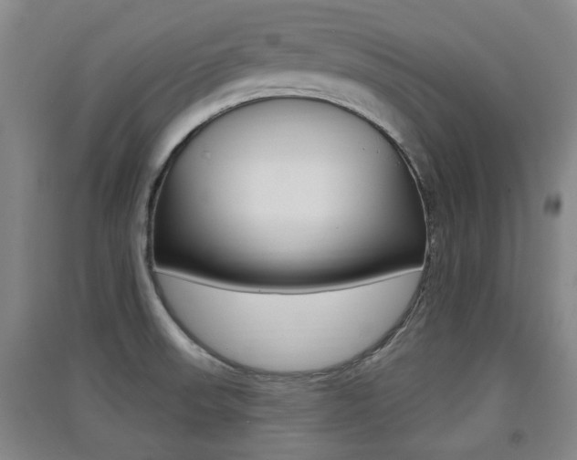 X0000091511523200708170939