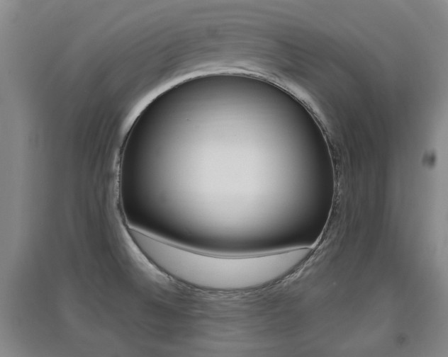 X0000091511524200708170939