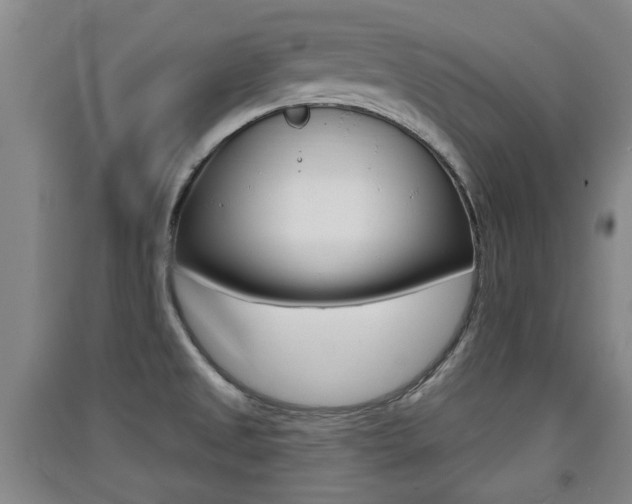 X0000091511525200708170939