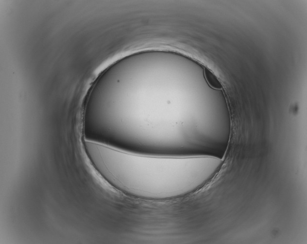 X0000091511526200708170939