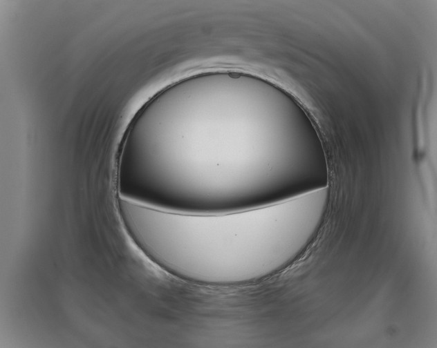 X0000091511527200708170939