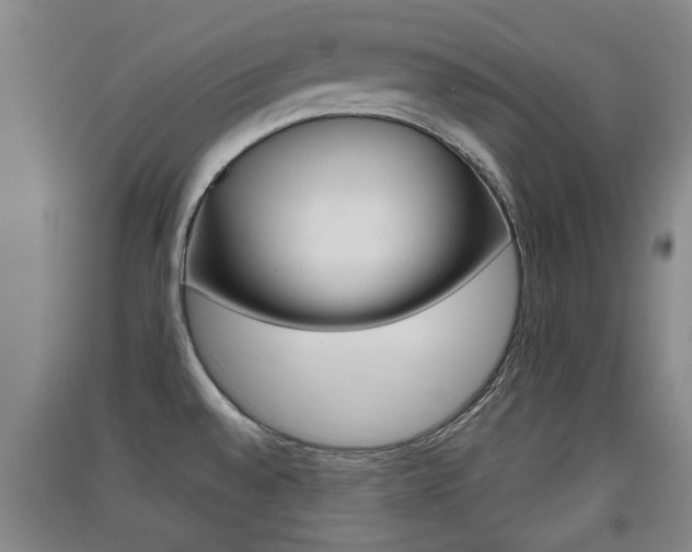 X0000091511528200708170939