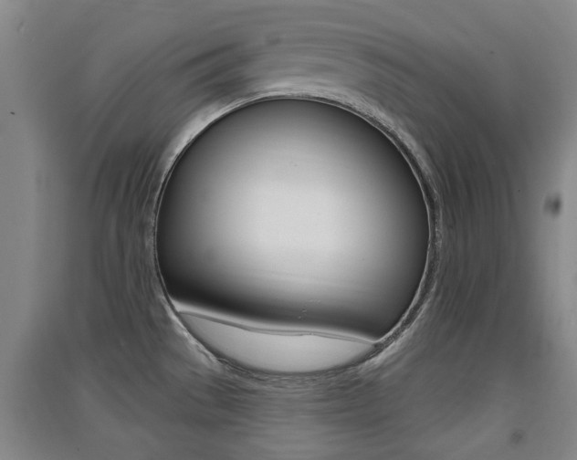 X0000091511529200708170939