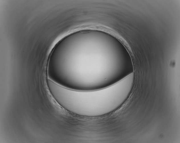 X0000091511530200708170939