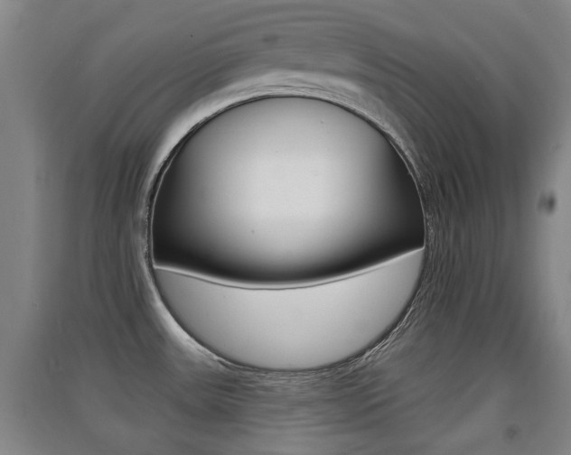 X0000091511531200708170939