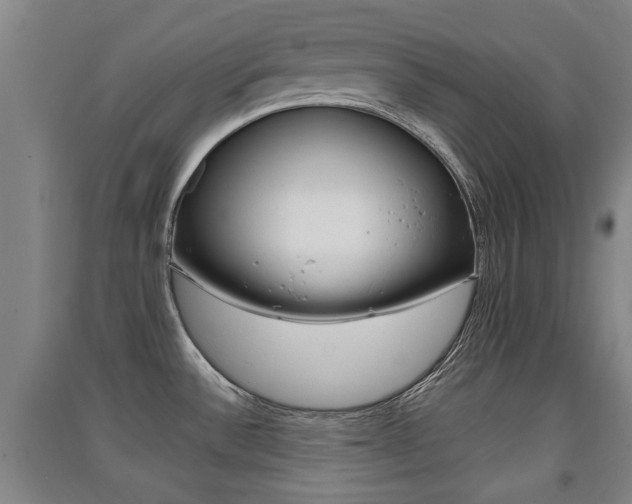 X0000091511532200708170939
