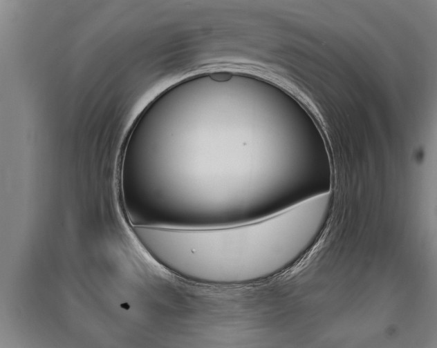 X0000091511533200708170939