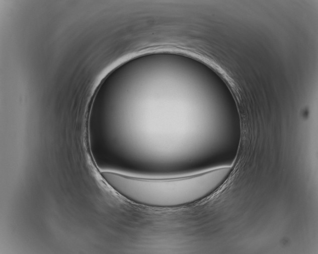 X0000091511534200708170939