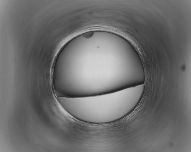 X0000091511535200708170939