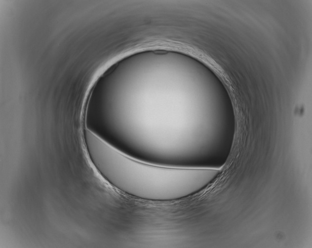 X0000091511536200708170939