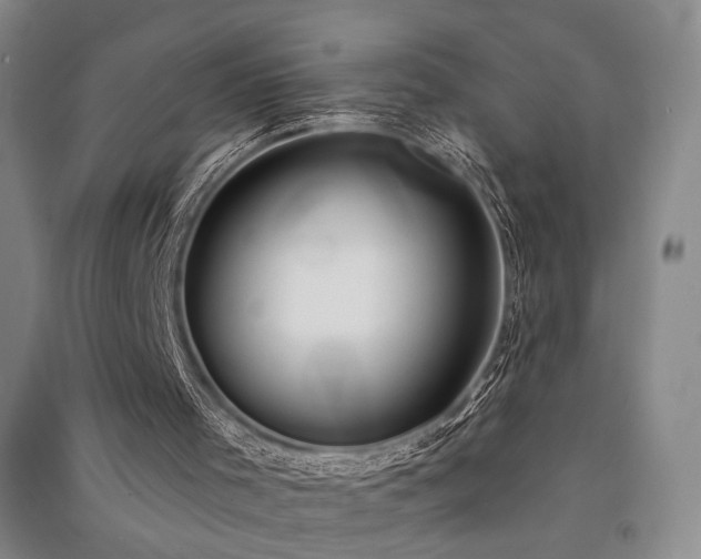 X0000091510001200708171205
