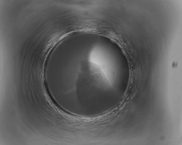 X0000091510002200708171205